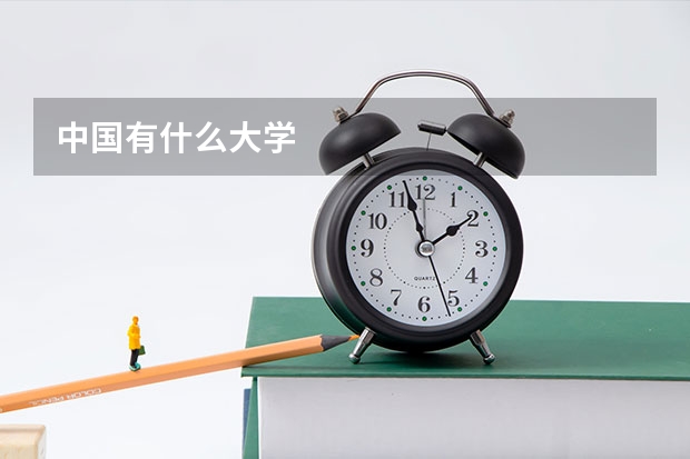 中国有什么大学
