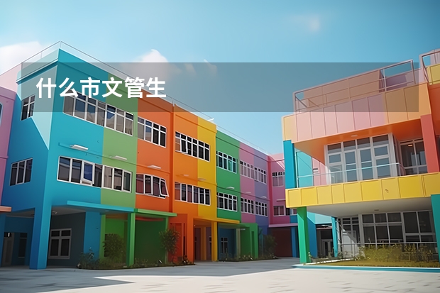 什么市文管生