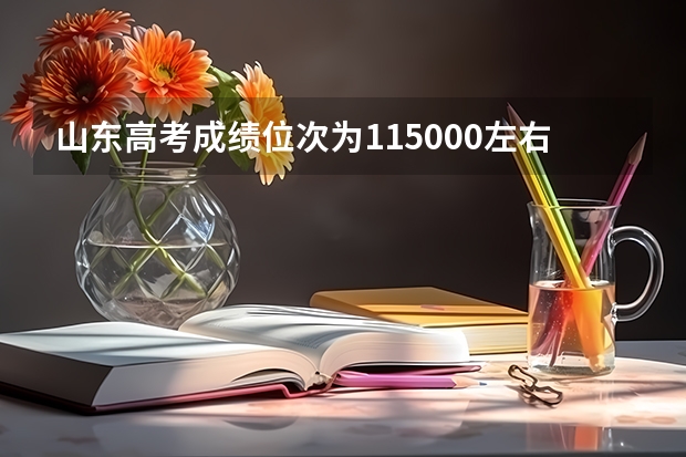 山东高考成绩位次为115000左右,可以报考的省内大学有哪些？
