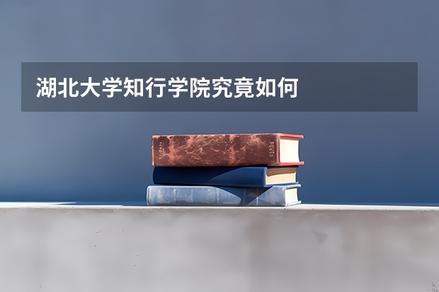 湖北大学知行学院究竟如何