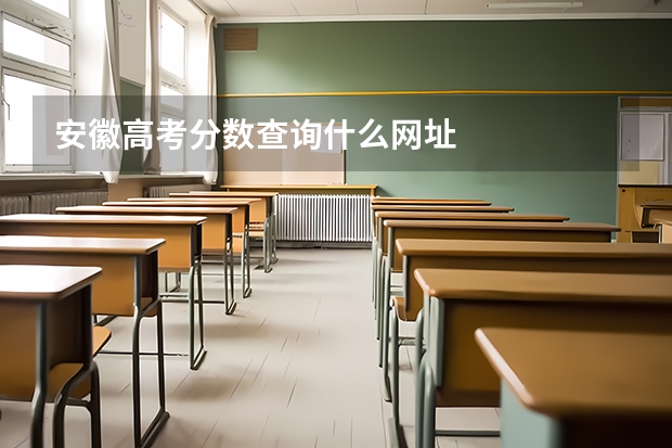 安徽高考分数查询什么网址