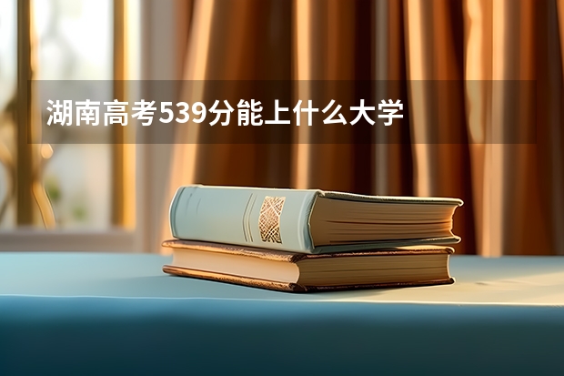 湖南高考539分能上什么大学