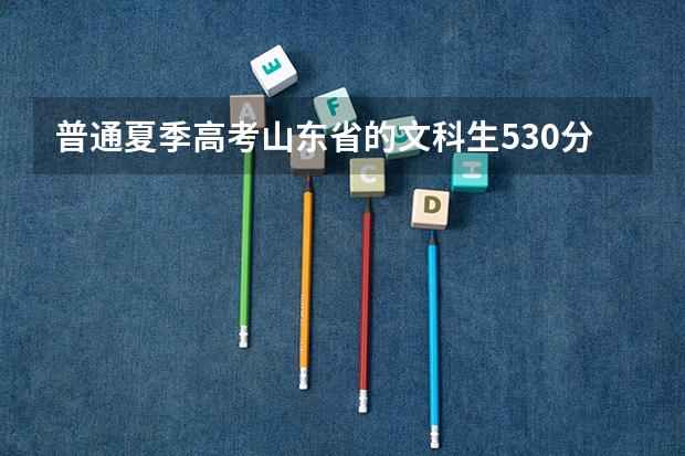 普通夏季高考山东省的文科生530分能上河北大学吗