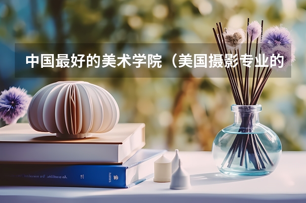 中国最好的美术学院（美国摄影专业的大学排名）