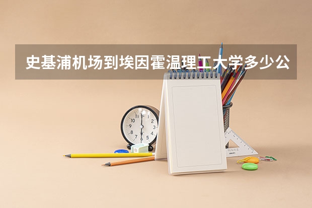 史基浦机场到埃因霍温理工大学多少公里