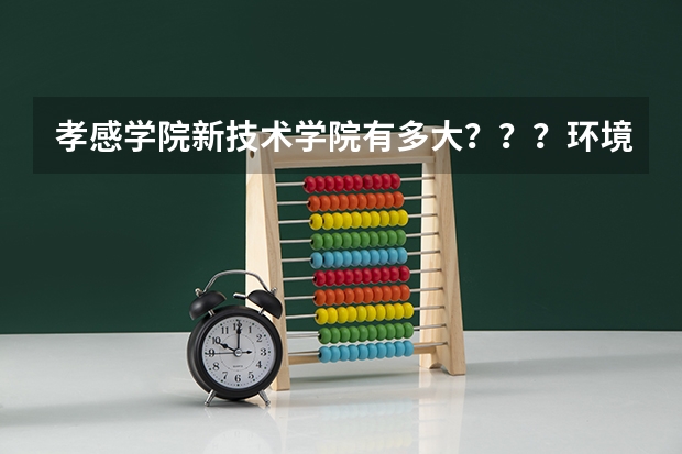 孝感学院新技术学院有多大？？？环境怎样？？？和孝感学院的学生一起吃住吗 ？？/
