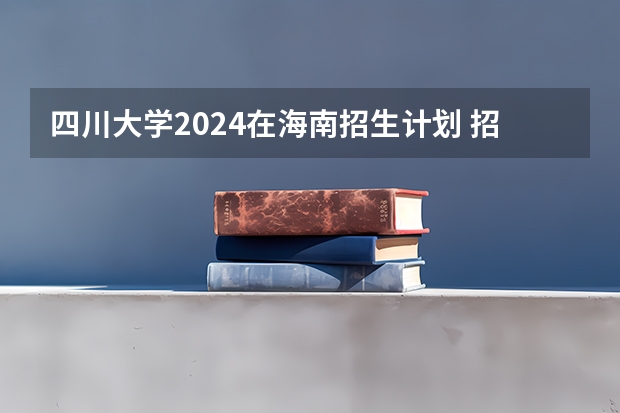 四川大学2024在海南招生计划 招多少人