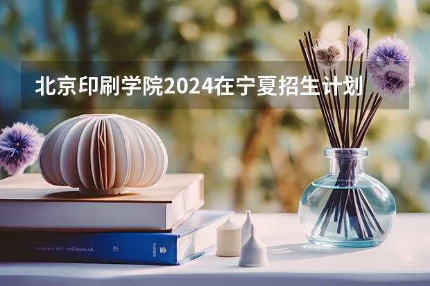 北京印刷学院2024在宁夏招生计划 招多少人