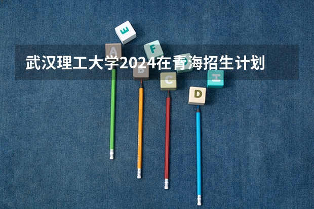 武汉理工大学2024在青海招生计划 招多少人