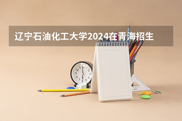 辽宁石油化工大学2024在青海招生计划 招多少人