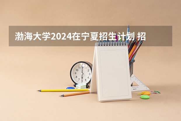 渤海大学2024在宁夏招生计划 招多少人