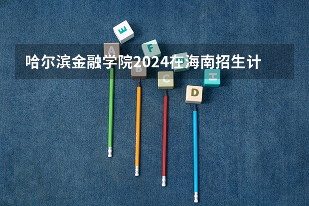 哈尔滨金融学院2024在海南招生计划 招多少人