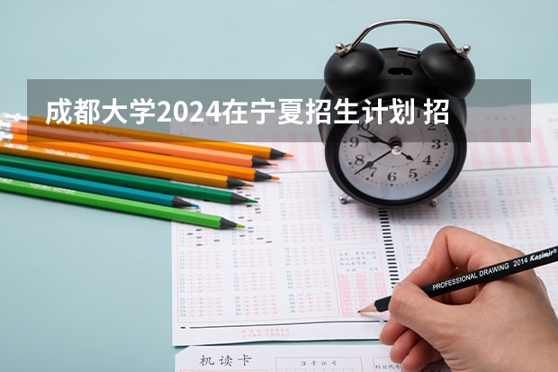 成都大学2024在宁夏招生计划 招多少人