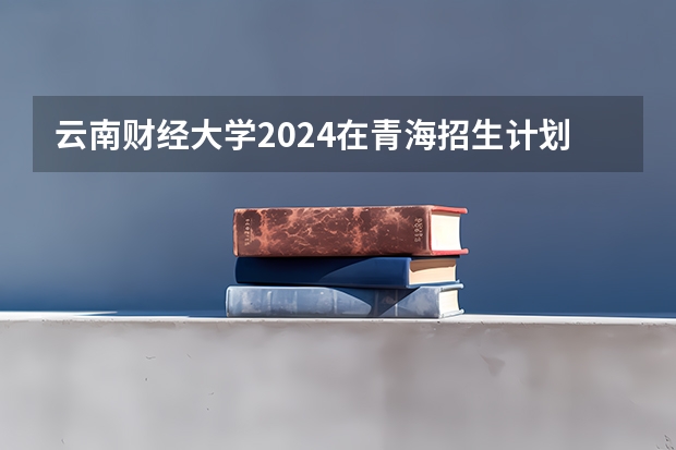云南财经大学2024在青海招生计划 招多少人