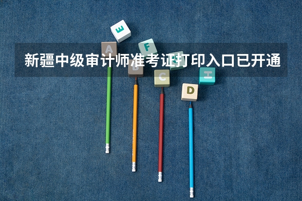 新疆中级审计师准考证打印入口已开通（9月27日开始）（新疆自考准考证打印时间）