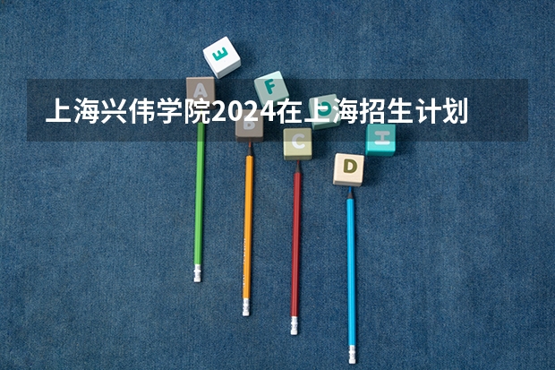 上海兴伟学院2024在上海招生计划 招多少人