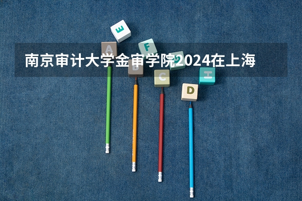 南京审计大学金审学院2024在上海招生计划 招多少人