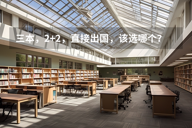 三本，2+2，直接出国，该选哪个？