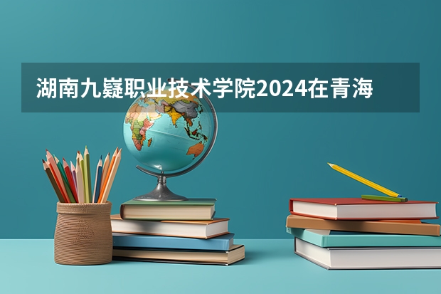 湖南九嶷职业技术学院2024在青海招生计划 招多少人