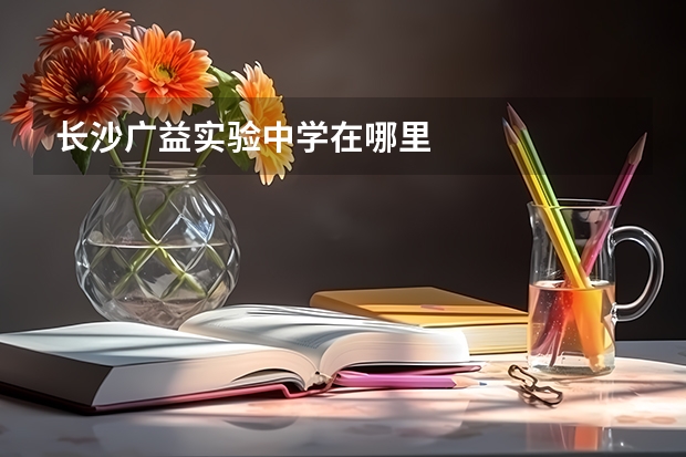 长沙广益实验中学在哪里