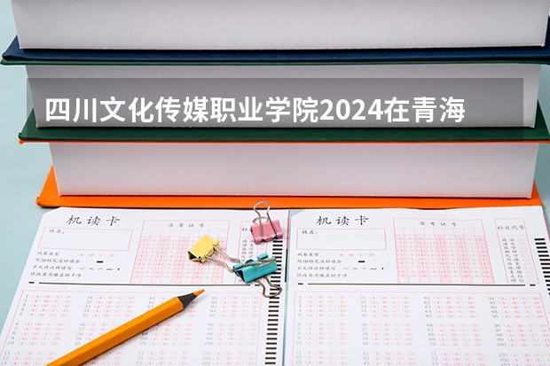 四川文化传媒职业学院2024在青海招生计划 招多少人