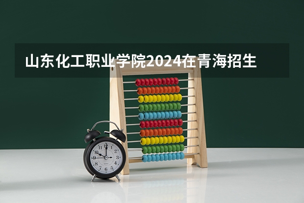 山东化工职业学院2024在青海招生计划 招多少人