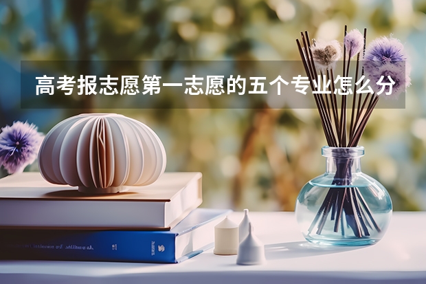 高考报志愿第一志愿的五个专业怎么分