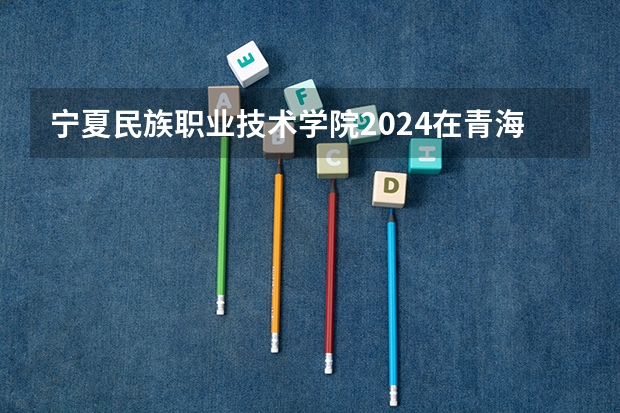 宁夏民族职业技术学院2024在青海招生计划 招多少人