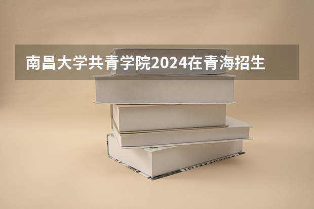 南昌大学共青学院2024在青海招生计划 招多少人
