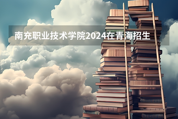 南充职业技术学院2024在青海招生计划 招多少人
