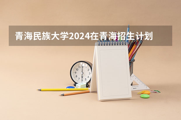 青海民族大学2024在青海招生计划 招多少人