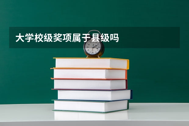 大学校级奖项属于县级吗