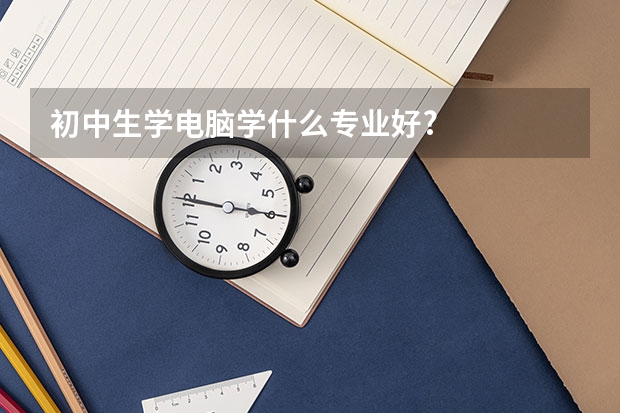 初中生学电脑学什么专业好?