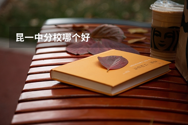 昆一中分校哪个好