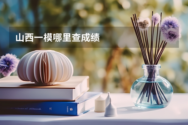 山西一模哪里查成绩