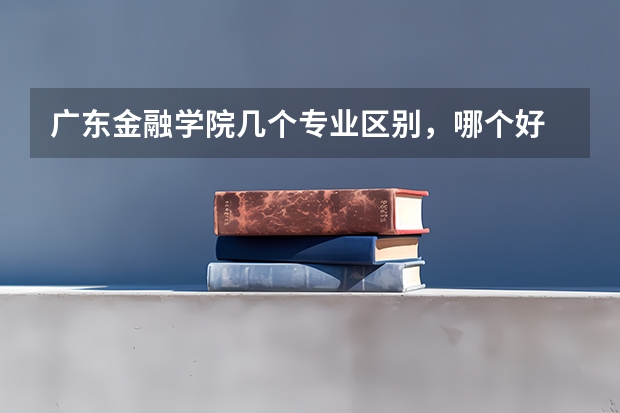 广东金融学院几个专业区别，哪个好