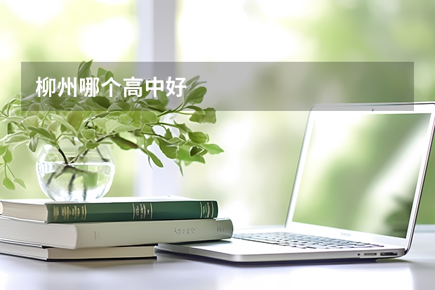 柳州哪个高中好