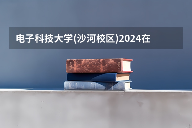 电子科技大学(沙河校区)2024在天津招生计划 招多少人