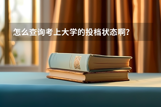 怎么查询考上大学的投档状态啊？