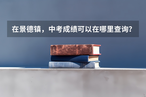 在景德镇，中考成绩可以在哪里查询？
