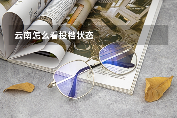 云南怎么看投档状态