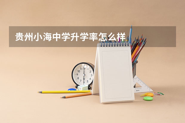 贵州小海中学升学率怎么样
