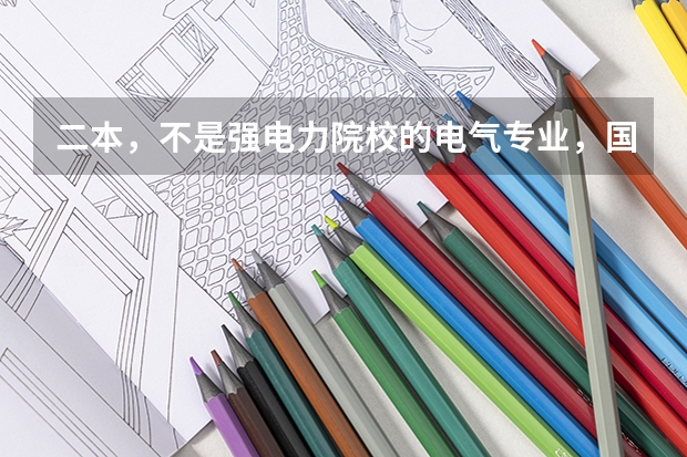 二本，不是强电力院校的电气专业，国网招聘考试可以上岸吗？