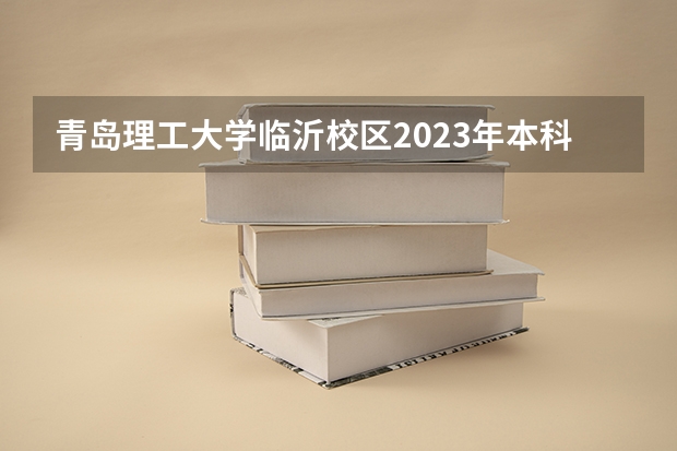 青岛理工大学临沂校区2023年本科录取分数线是多少？