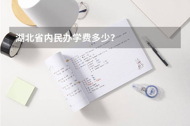 湖北省内民办学费多少？