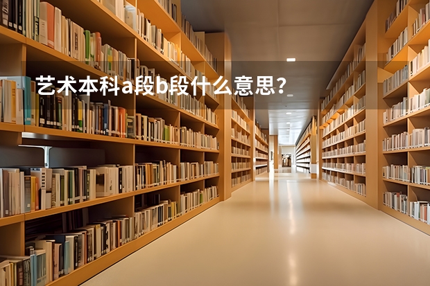 艺术本科a段b段什么意思？