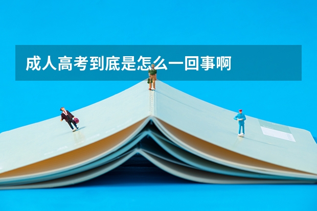 成人高考到底是怎么一回事啊