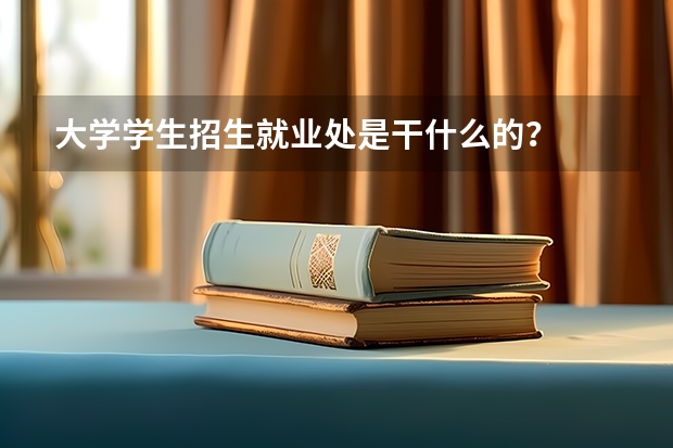 大学学生招生就业处是干什么的？