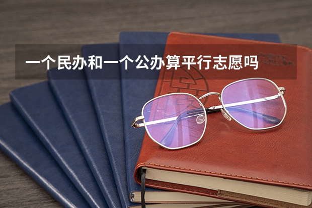 一个民办和一个公办算平行志愿吗