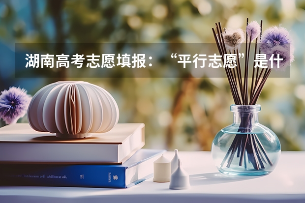 湖南高考志愿填报：“平行志愿”是什么意思